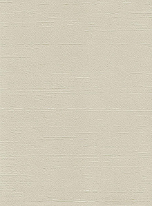 Yuanlong Classic 55591D