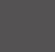Светлые обои Loymina Materials Lotus Universe LOT2, 605