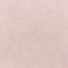 Rasch Vincensa 467161