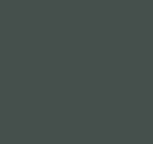 Зелёные обои в прихожую Loymina Materials Lotus LOT1, 136